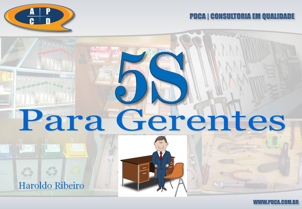 5S para Gerentes (Español)